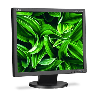 19" LED Backlit LCD Monitor