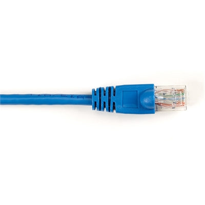 CAT6 250 UTP PVC MSG BL 7'